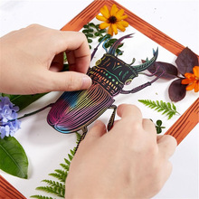 昆虫总动员手工diy制作材料包标本相框画幼儿园儿童创意绘画涂色