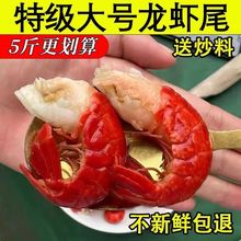 波士顿龙虾生冻波斯顿大虾食用水产速冻海鲜超大加拿大波龙特卖生