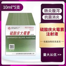 处方圣旺庆大霉素注射液兽用消毒消炎药猪牛羊猫狗鱼龟用猪用拉稀