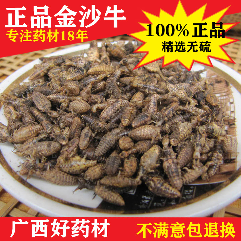 农家自产 野生金沙牛 10g包邮中药材蚁狮地牯牛金砂牛 一级无杂质