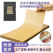跨境45G羊皮纸 一次性硅油纸防粘汉堡冷冻硅油纸烘焙隔离纸垫纸