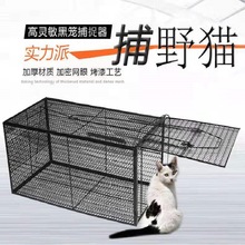 人道救助捕猫笼特大号捕猫笼全自动捕猫笼捉猫笼捕鼠笼寻猫神器
