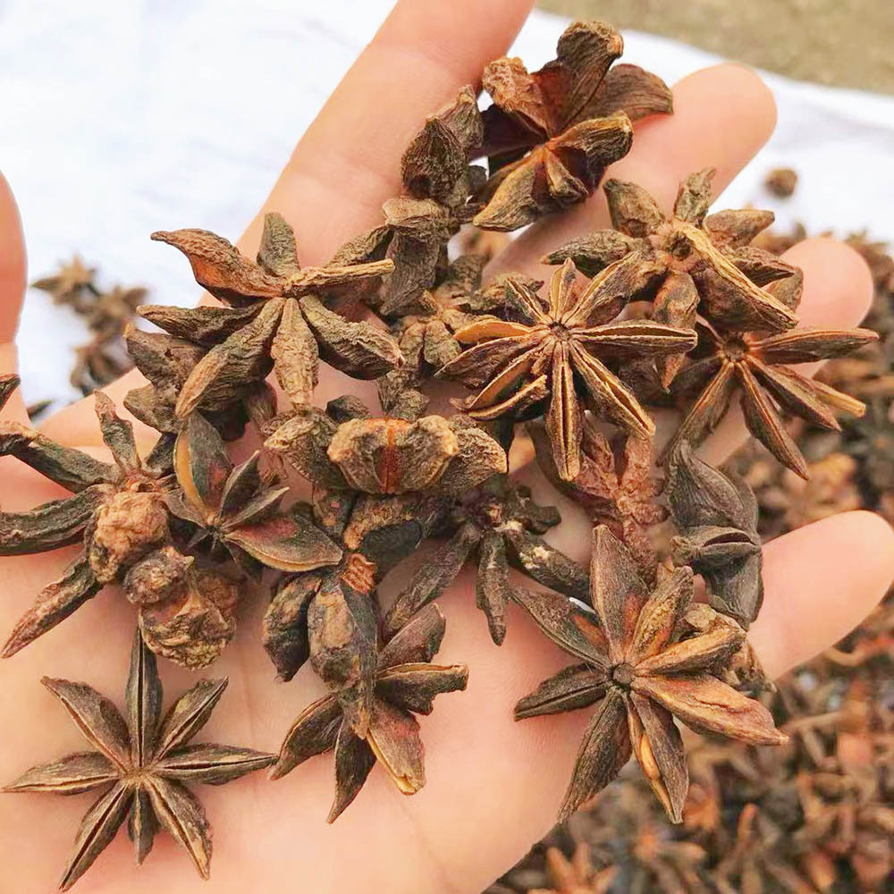 干枝八角 八角 大料 茴香 出口八角 广西八角足干去碎片去梗-阿里巴巴