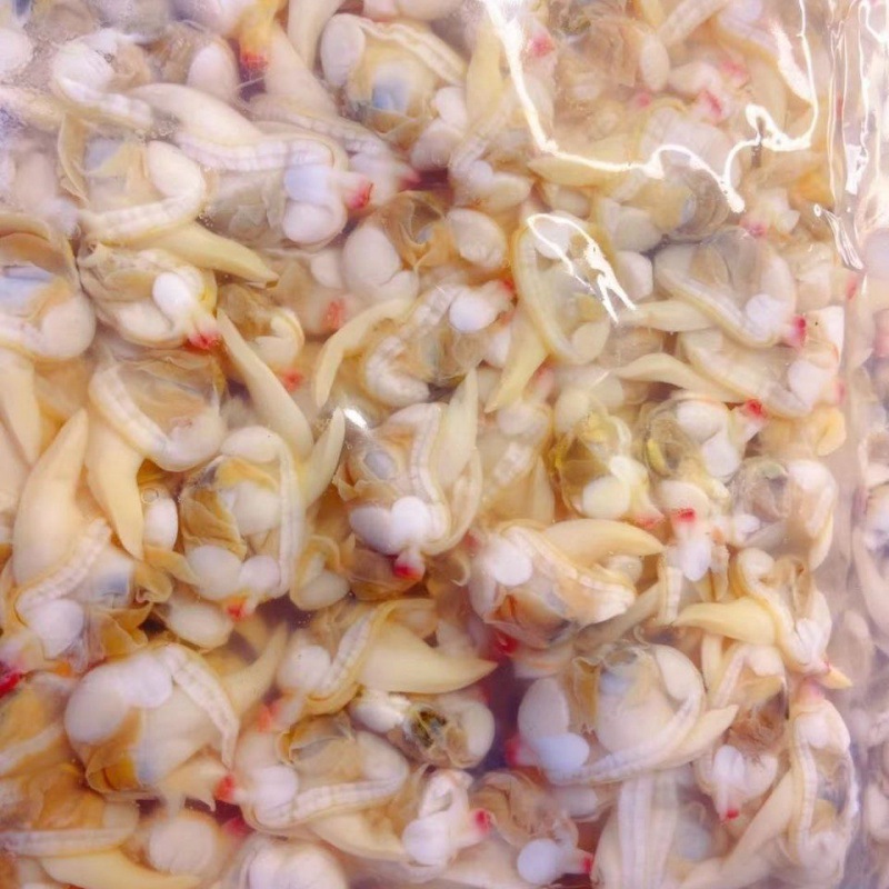 辽宁丹东东港原汁大黄蚬子肉无沙蛤蜊花肉熟冻原浆黄蚬肉凉拌包邮