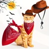2pcs Pet Cowboy Costume Christmas Costumes for Small Pet跨境|ms 2pcs Pet Cowboy Costume Christmas Costumes for Small Pet跨境|ms