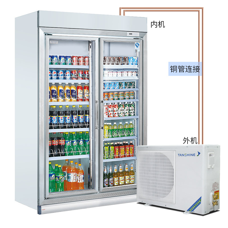 天翔冷链 两门1600l大容量冷藏展示柜便利店冷柜超市冰柜风冷分体