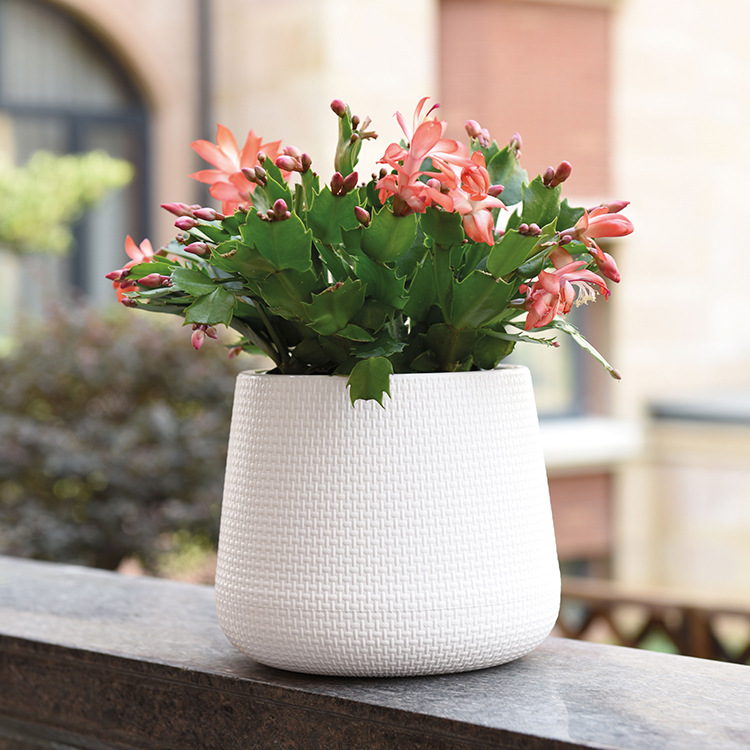 现代酒店 装饰义乌 居家园艺塑料花盆摆件出欧洲时尚加仑组合式加