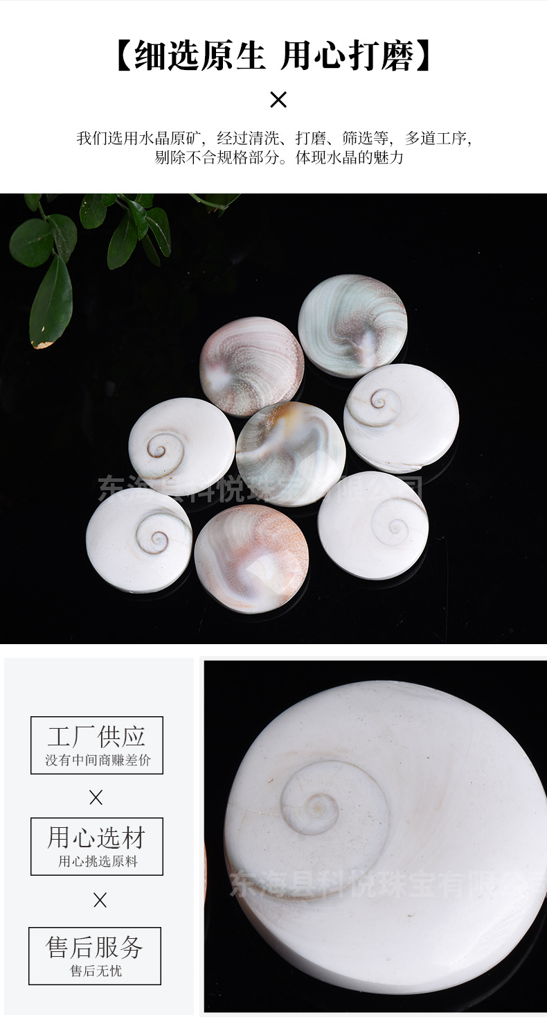 天然太阳贝 小号太阳贝 硬贝壳 海螺贝 圆形椭圆diy吊坠家居装饰