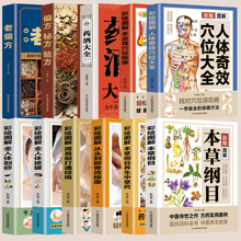 彩绘图解中医百科大全 全11册本草纲目按摩拔罐刮痧药酒穴位偏方