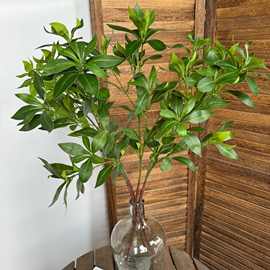 仿真绿植高级感马醉木盆栽北欧风室内橱窗装饰假绿植景观仿真树