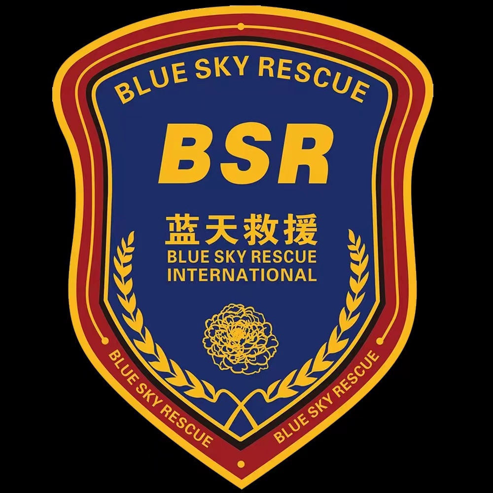 蓝天救援队车贴应急道路救援车贴汽车磁性车贴红十字贴纸支持枝头