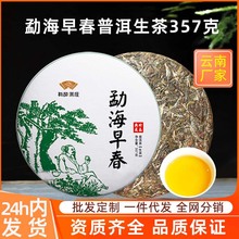 勐海早春普洱生茶云南七子饼茶版纳古树茶叶自己喝口粮茶生普茶饼