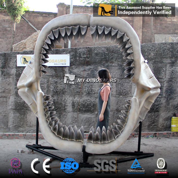 大型仿真巨齿鲨鲨鱼牙齿骨骼 玻璃钢材料骨架 室内装饰动物摆件