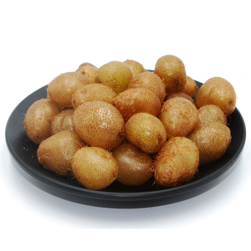 肾蕨果3斤装 贵州中药材野生现采新鲜石黄皮1斤 凤凰蛋5斤包邮