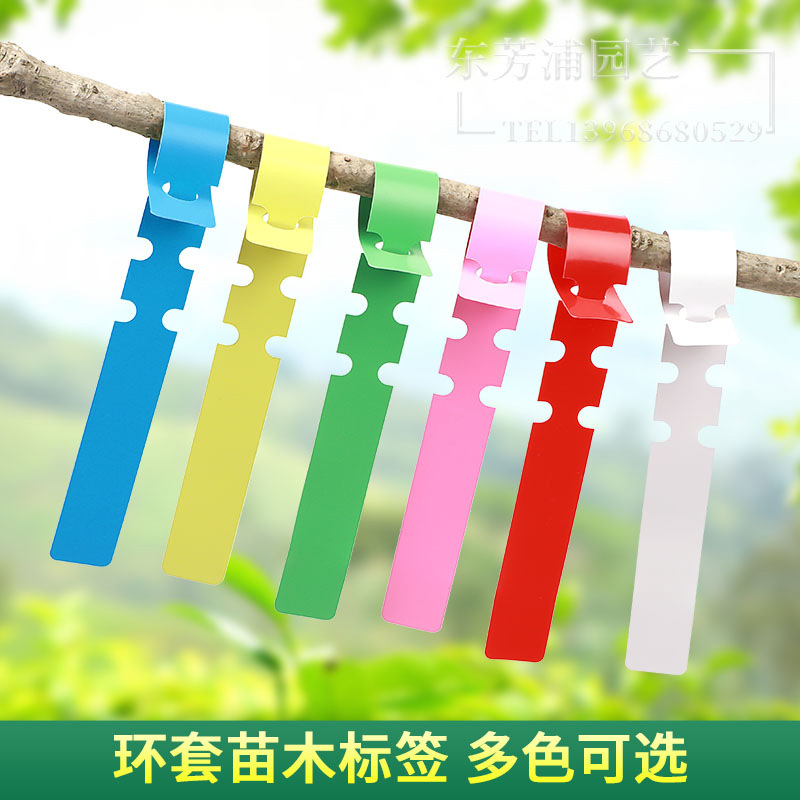 环套标签花卉植物苗木环扣园艺标记牌月季塑料防水果树盆景标识牌