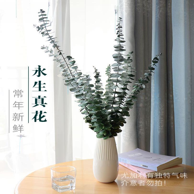 永生花尤加利叶客厅装饰简约北欧风格小清新真花干花插花摆件花束
