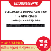 戴尔 DELL R250 1U单路机架式小型服务器WEB ERP 适用E23系列CPU