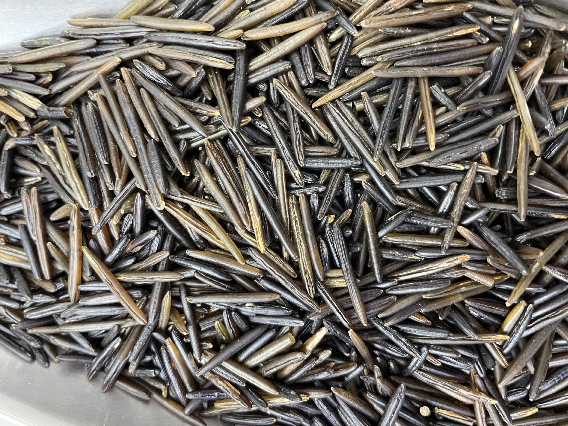 野米 批发加拿大苏比利亚冰湖一号野米菰米野黑米产地直销454克