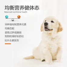 幼犬斤狗粮成犬52010美毛去粮泰迪补钙通用双拼贵宾斤斤其他