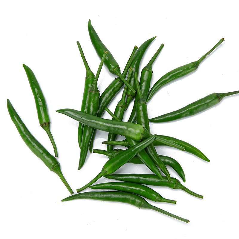 新鲜青朝天椒小米辣椒小尖椒剁椒青米辣椒特辣现摘现发小米椒500g