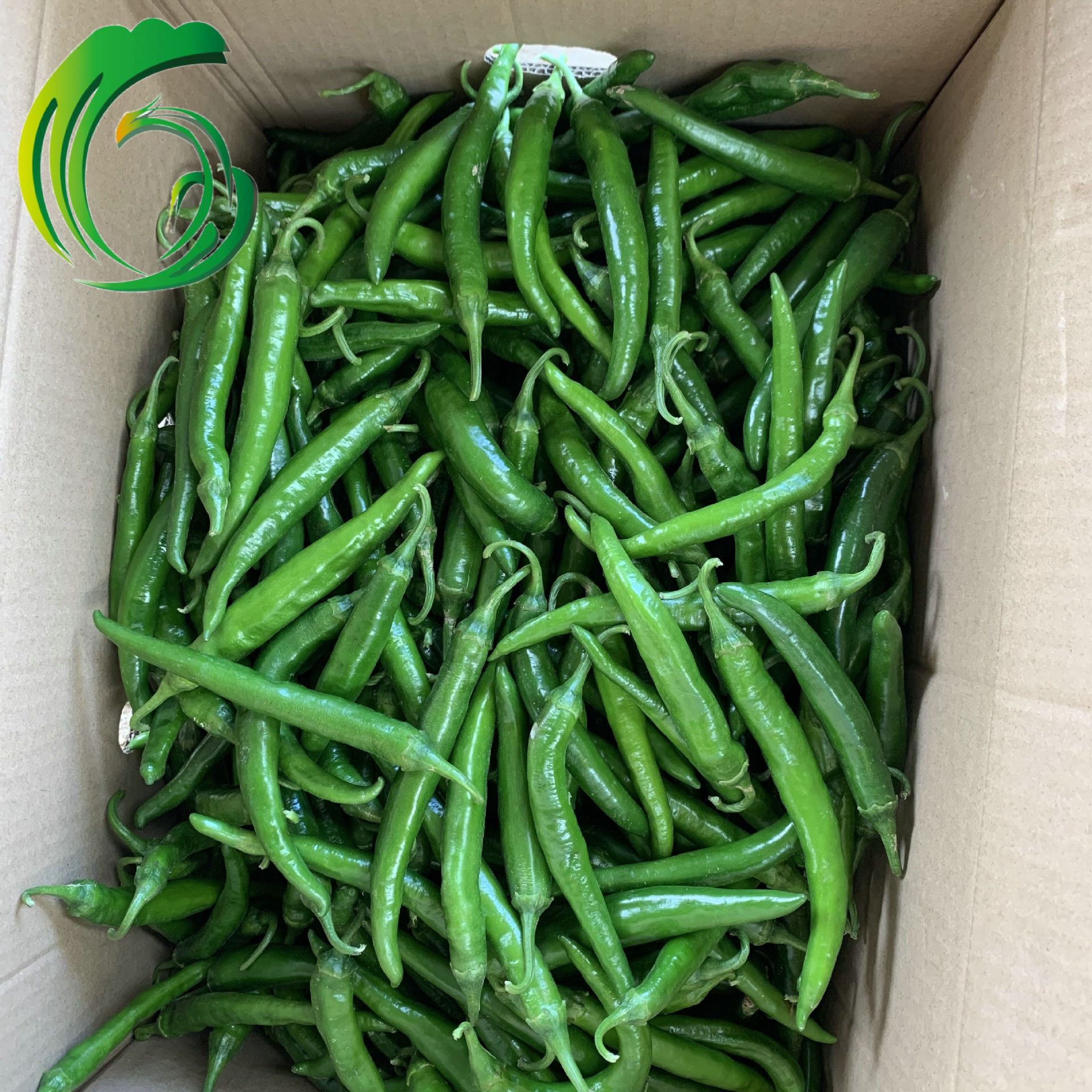 2021冷冻青阳椒 5-7mm切圈 工厂直供 山东产地 备案基地 出口韩国