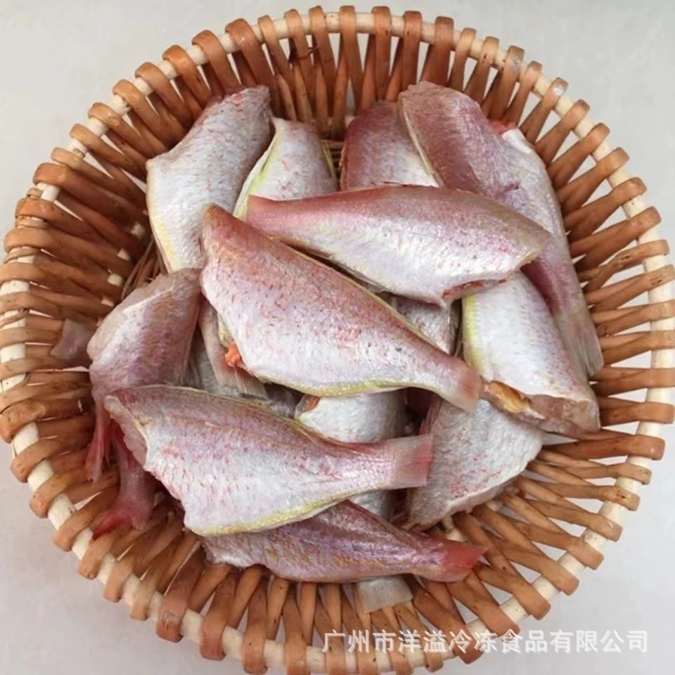 红三鱼 冷冻 金线鱼 三去红三鱼 无头红衫鱼 油炸香煎 员工餐福食