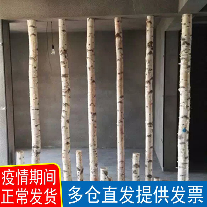 白桦树干装饰