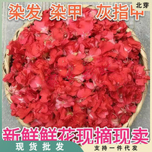 中药材干野生 瓜子金 来马回 勒马回 惊风草 山黄连 女儿红250克