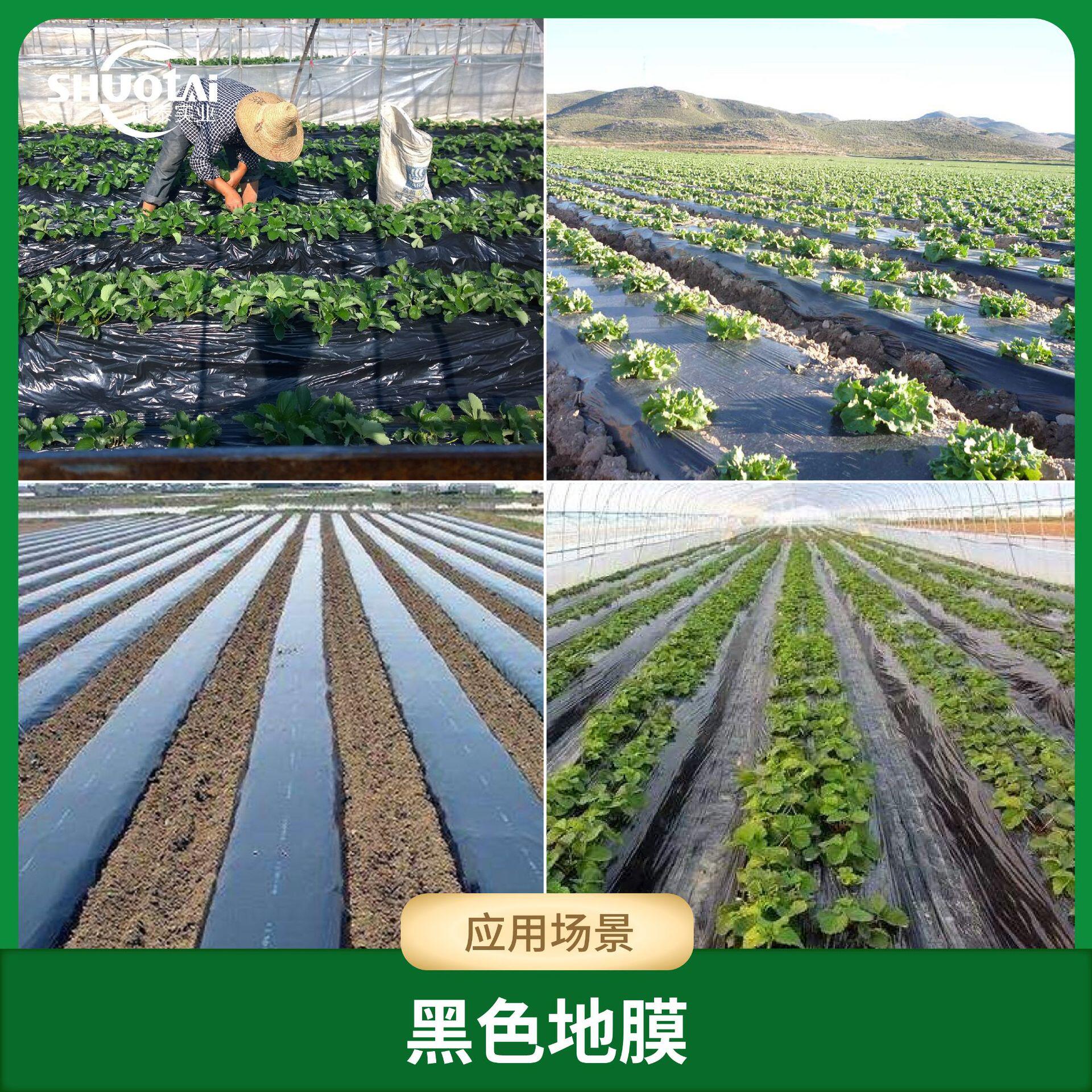 农用地膜厂家批发黑色除草地膜 加厚防草地膜015*140