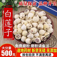 莲子干货 白莲子 农家自产特级带芯白莲子 农家特产 新货500g包邮