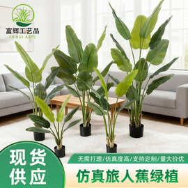 仿真旅人蕉绿植轻奢家居装饰盆栽美人蕉假树落地造景假植物天堂鸟