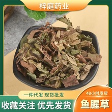 优质鱼腥草产地批发散装无硫无杂质中药材鱼心草折耳草干货可代发