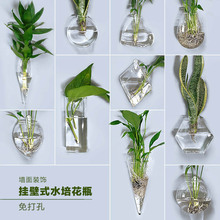 壁挂绿萝花盆挂壁挂水培墙上玻璃瓶器皿挂墙创意透明民宿养花