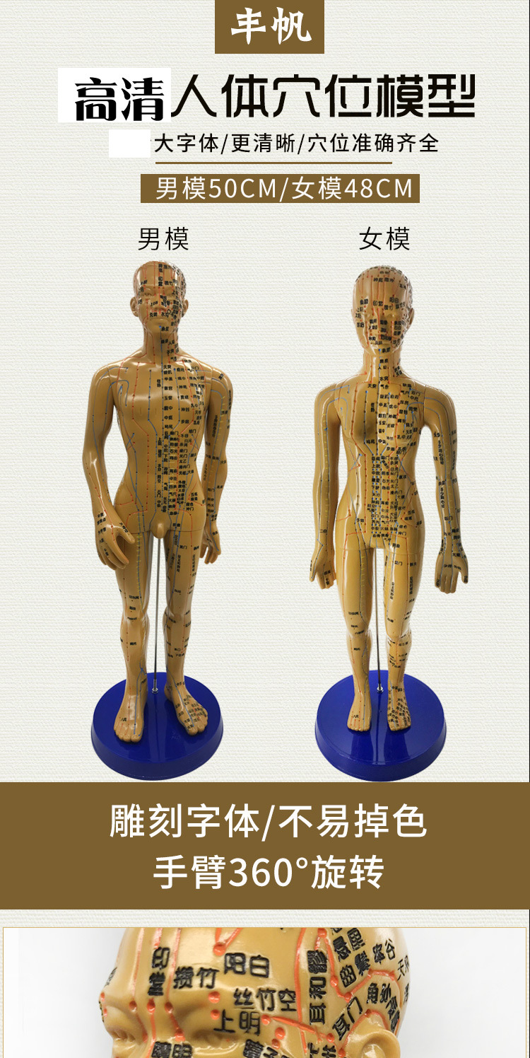 针灸人体穴位模型全身经络小皮人铜人可扎针教学中医用假人模特图