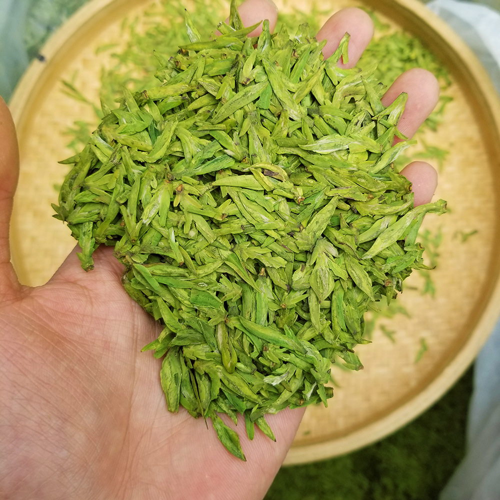 乌牛早龙井茶叶2021年新茶绿版明前浙江龙井高山绿茶货源散装批发