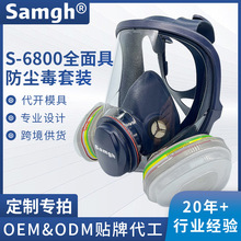 厂家批发6800过滤式防毒面具 防喷漆农药化工装修甲醛 防毒全面罩