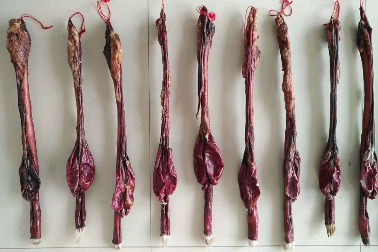 批发长春双阳整枝鹿鞭东北干货鹿鞭 整根牛鞭男用鹿产品 泡酒料