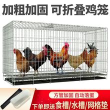 鸡笼子大号特大养殖笼自动清粪鸡舍家用家庭鸡笼多层鸡笼鸭鹅兔笼