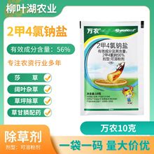 万农56%二甲四氯钠盐小麦除草阔叶杂草除草剂农药批发整箱直销价