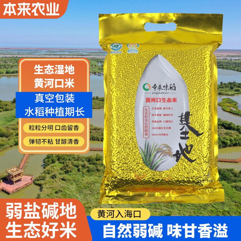 黄河生态大米 山东东营特产黄河口黄河三角洲大米生态弱碱米2.