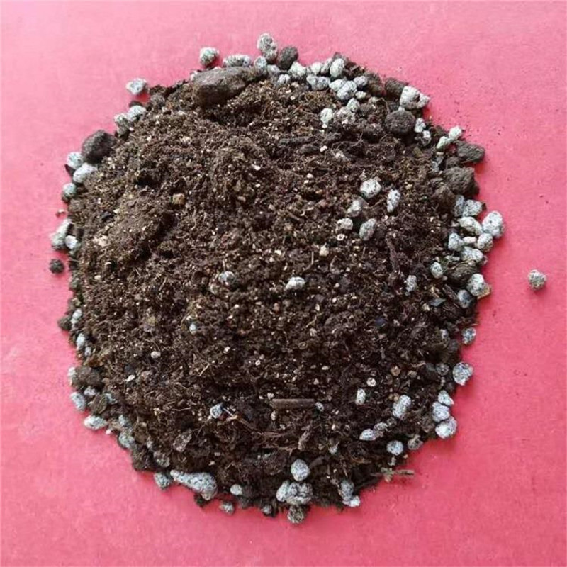 育苗基质土蔬菜花卉育苗苗木扦插营养土多肉养花种菜栽培绿化基质