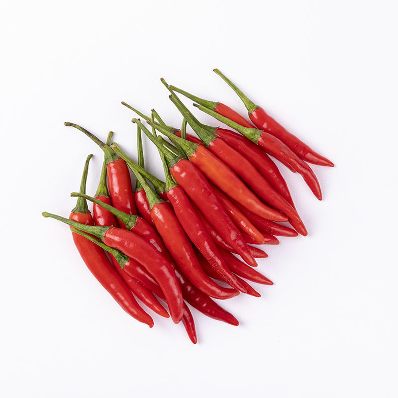 干辣椒辣朝天椒小米椒特辣红辣椒蔬菜指天椒现卖2斤/1斤/5斤包邮