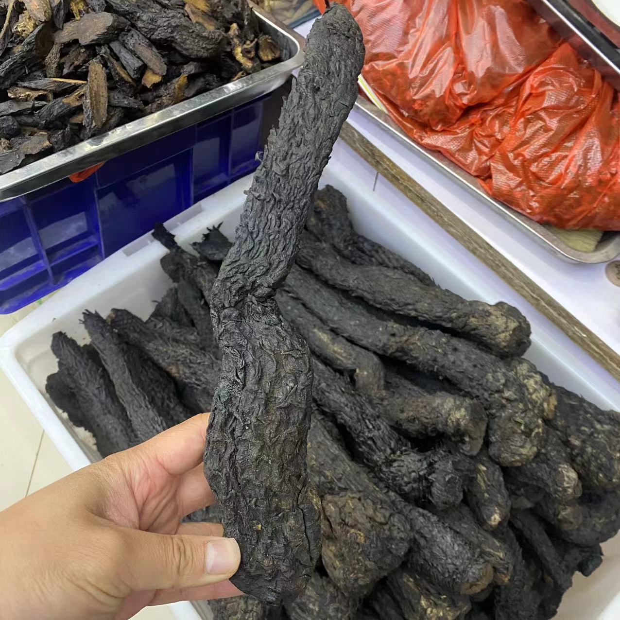 肉苁蓉 中药材特大条肉苁蓉大芸油整根软质肉苁蓉 苁蓉肉苁蓉切片