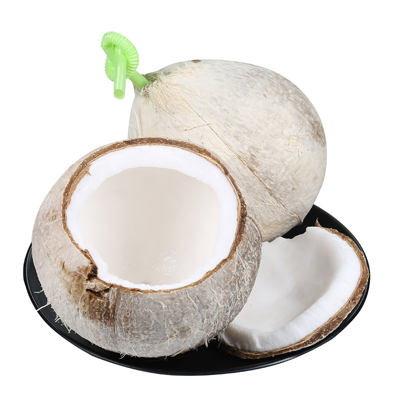 【全年款】海南椰白奶香新鲜椰青 白椰子孕妇水果椰青小椰子代发
