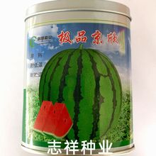 创研京欣西瓜种子早熟皮薄高甜红瓤麒麟西瓜种籽南北方春夏播50克