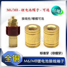 锂电池8M接线柱铜帽子电瓶螺帽m6/m8逆变器螺母接线端子333/555