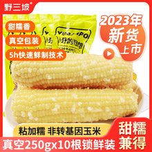 野三坡新鲜采摘玉米白糯玉米10棒真空粘黏野三坡旗舰店真空糯玉米