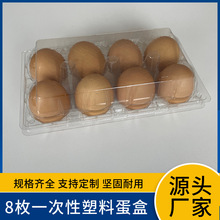 厂家现货8只装出口一次性塑料鸡蛋盒批发吸塑加厚禽蛋包装多规格