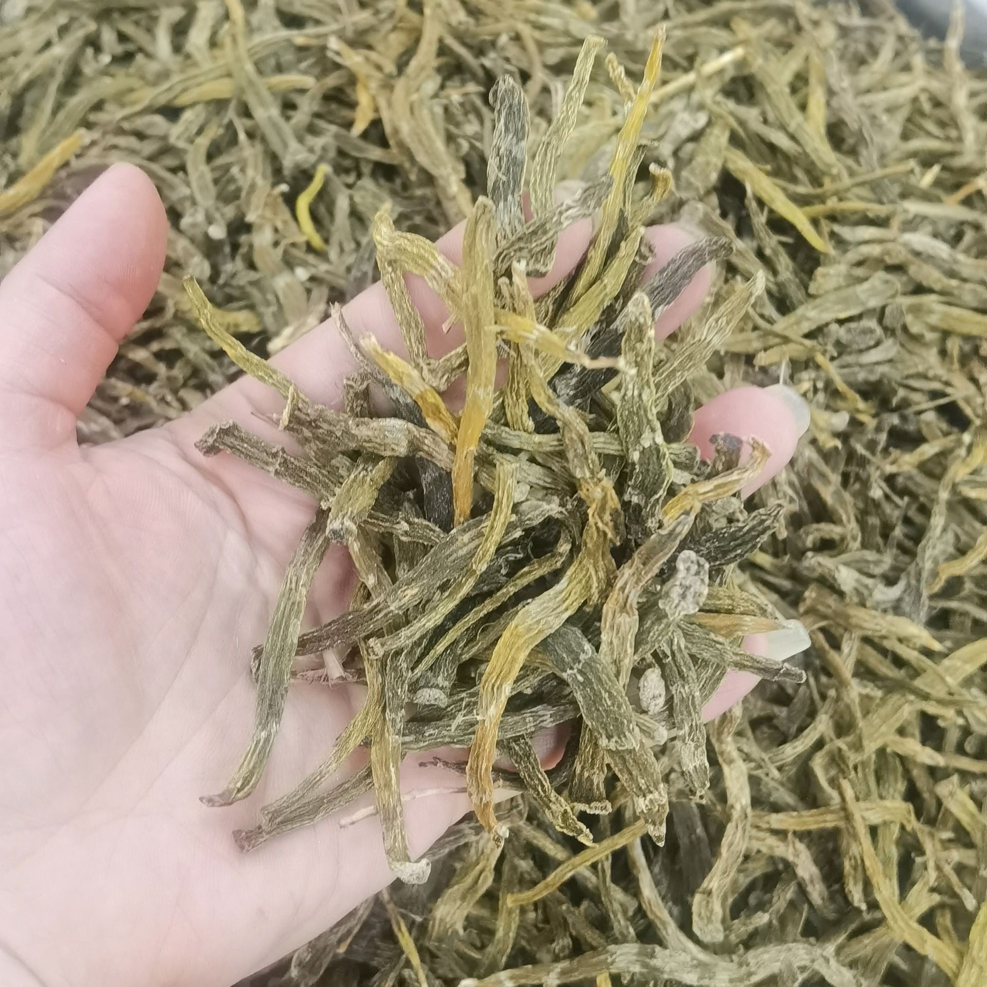 珍虫石斛条 铁皮石斛干条枫斗石斛烤条 打粉实惠价格基地全国批发
