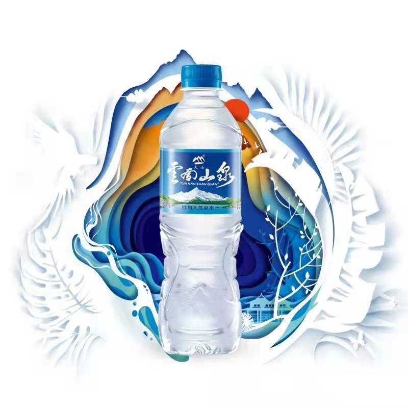 饮用水整箱小瓶装泡茶水纯净水饮料云南山泉水大山泉水550ml*12瓶